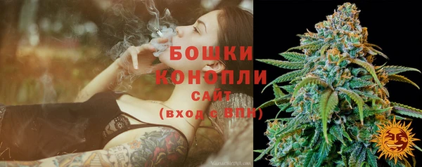 стаф Осташков